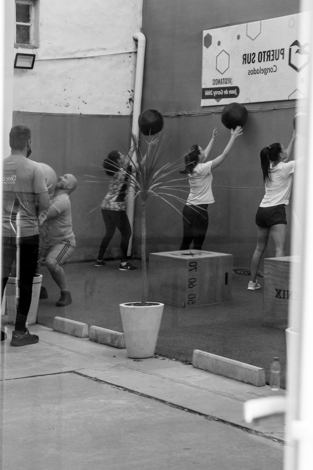 _MG_5221.jpg _MG_5221.jpg